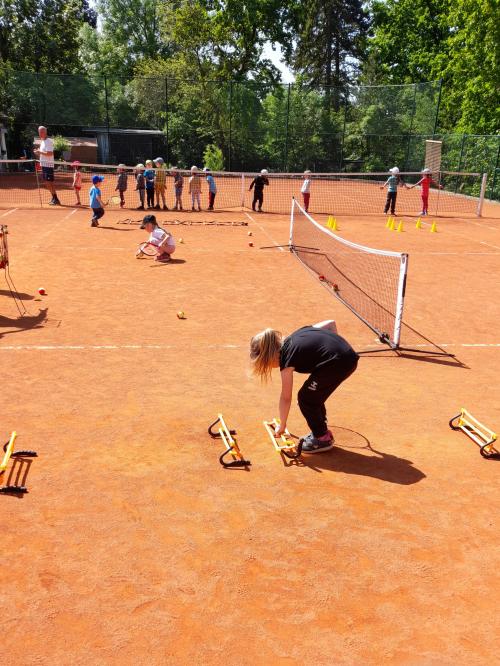 tenis